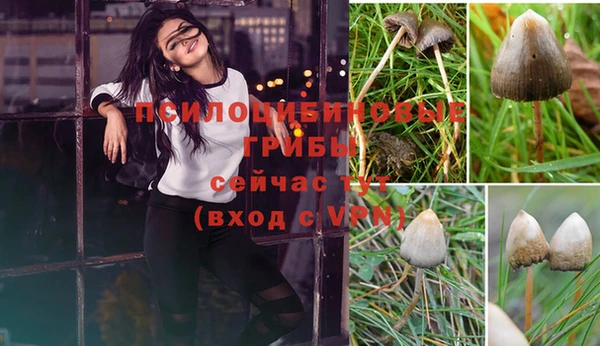 ешки Дмитров