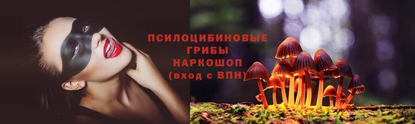ешки Дмитров