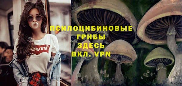 mdma Дмитровск