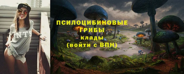 mdma Дмитровск