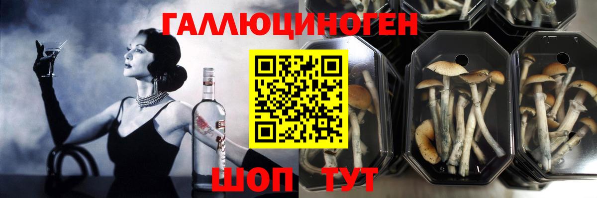 Галлюциногенные грибы мухоморы  Вход с VPN  Галлюциногенные грибы мицелий  Зеленодольск 
